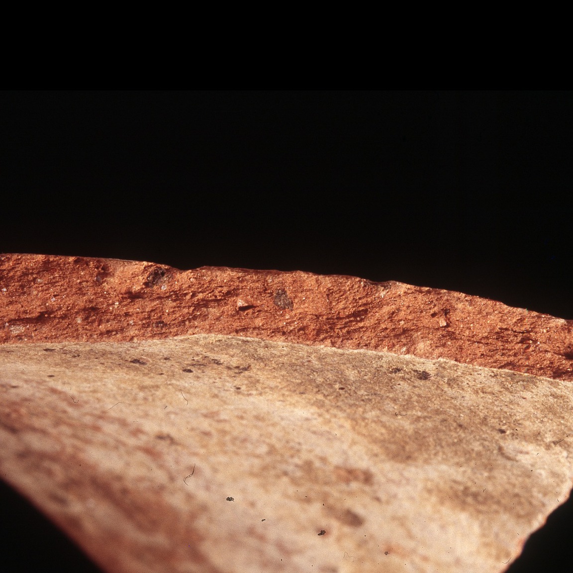 Plate 2: Fresh sherd break of CNG TR (width of field 24 mm)