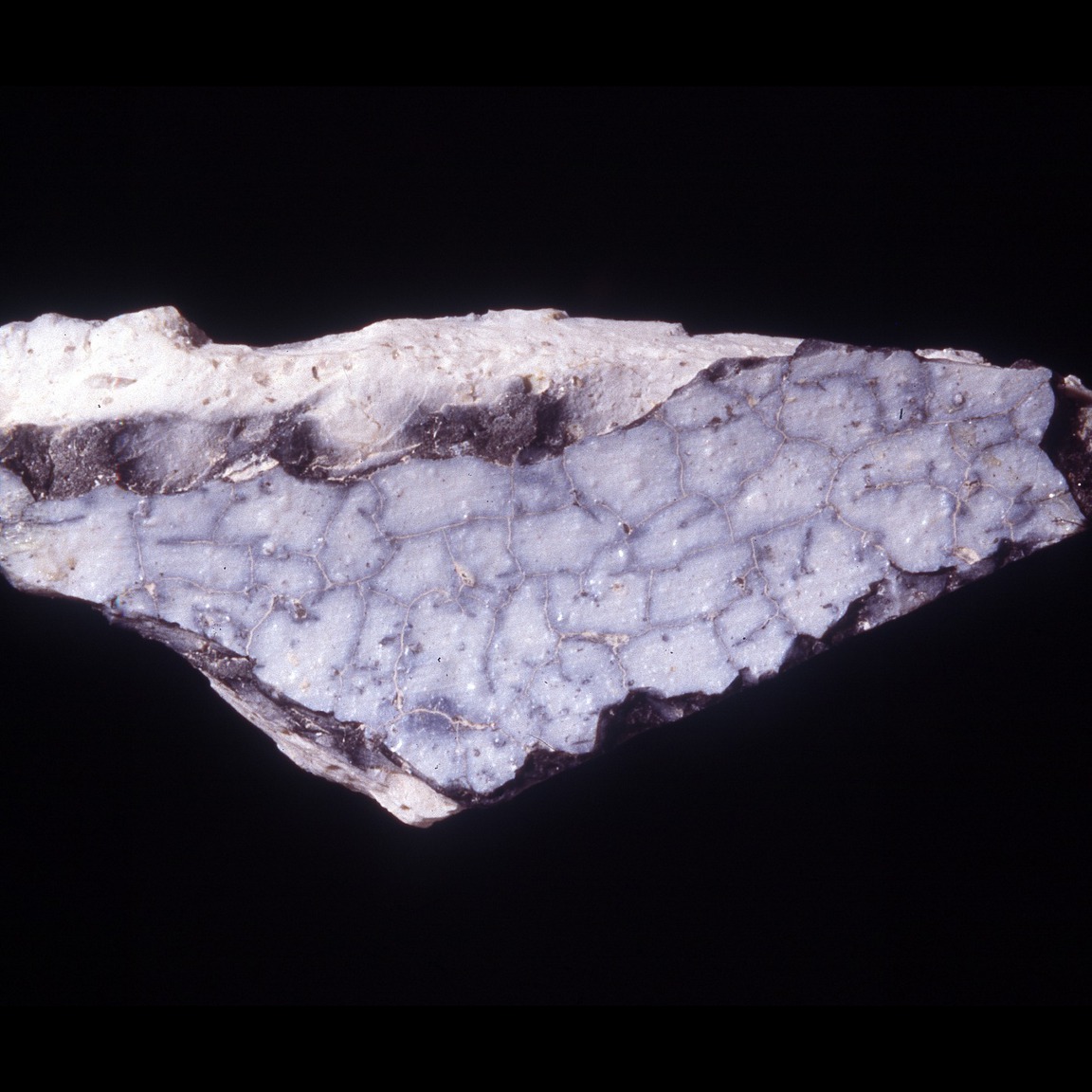 Plate 3b: Sherd surface of GAB CB (width of field 24 mm)