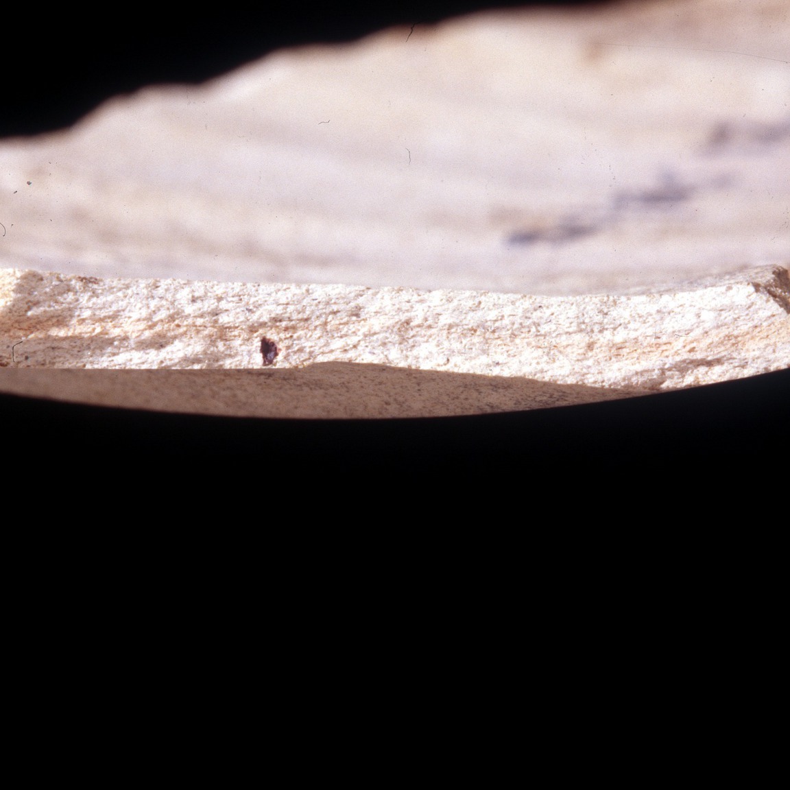 Plate 14: Fresh sherd break of NOG WH 3 (width of field 24 mm)