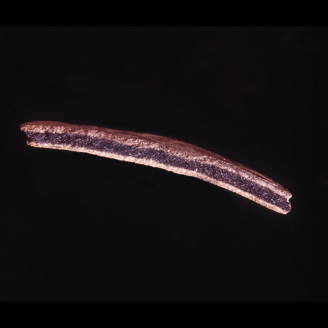 Plate 35: Fresh sherd break of BRA MD (width of field 24 mm)