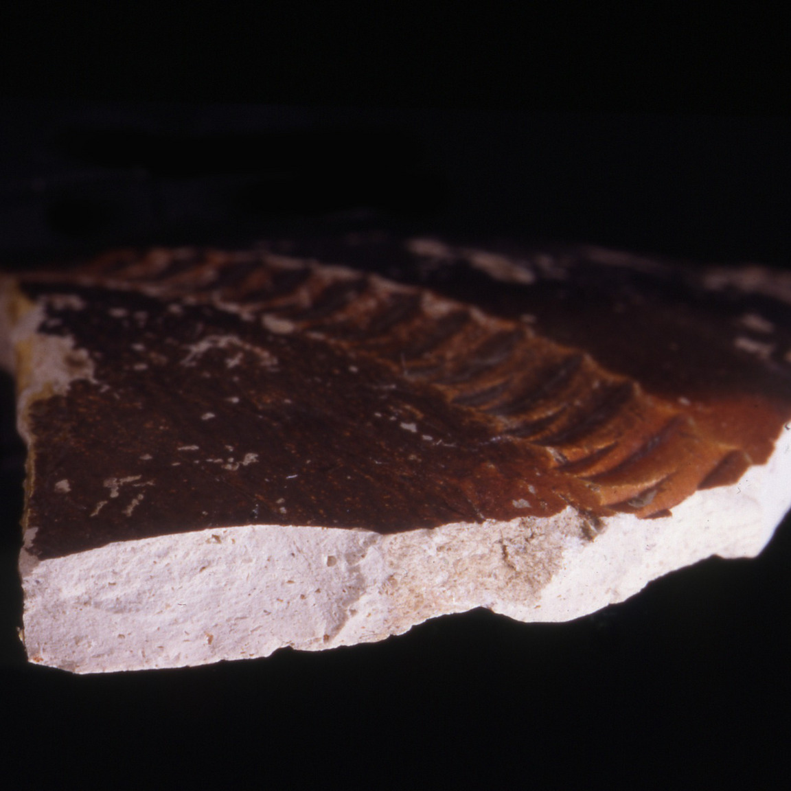 Plate 37: Fresh sherd break of CNG CC 1 (width of field 24 mm)