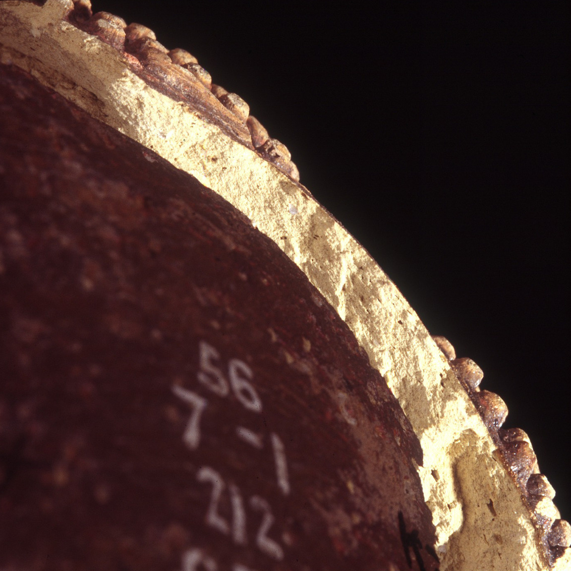 Plate 42: Fresh sherd break of LYO CC (width of field 24 mm)