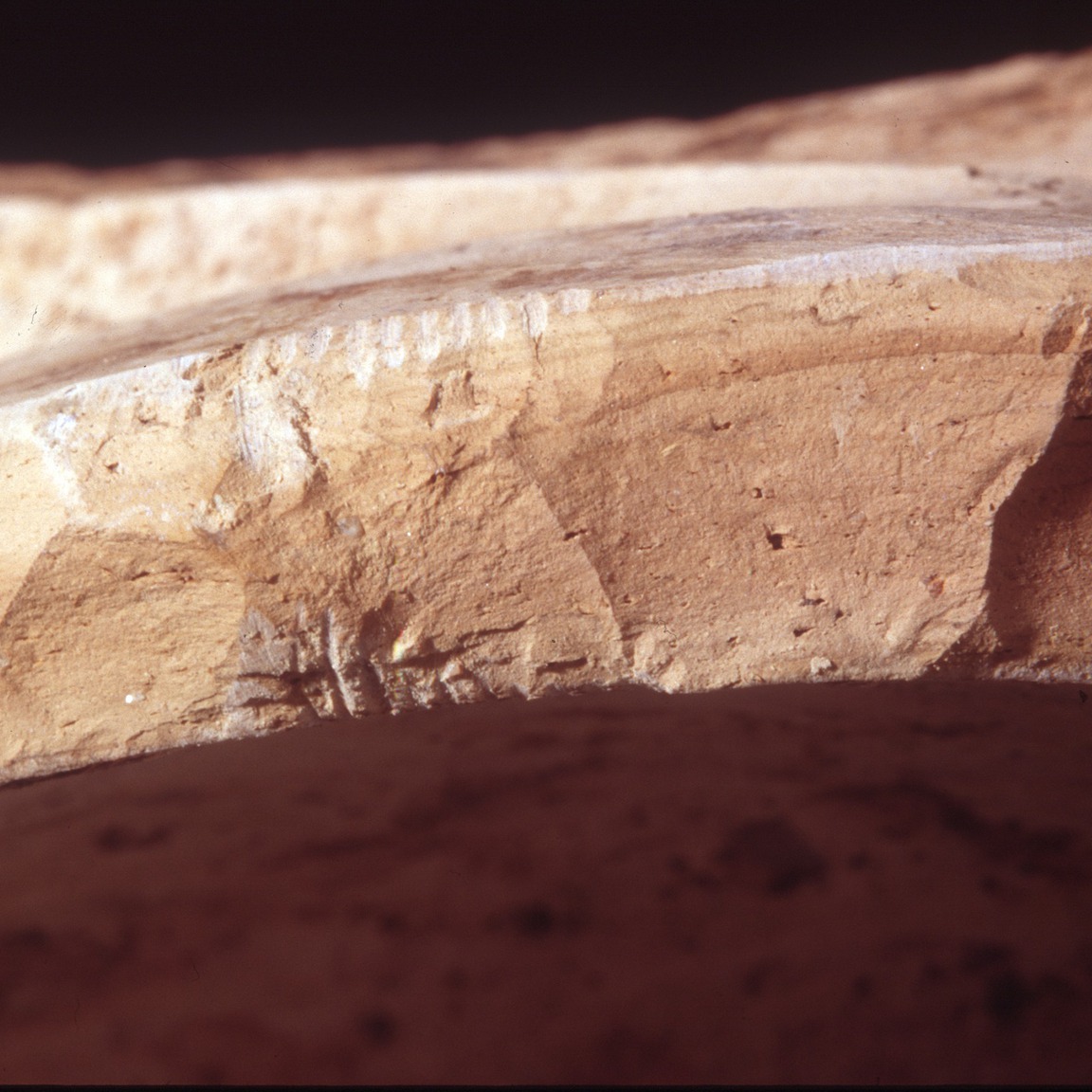 Plate 48: Fresh sherd break of AOI WH (width of field 24 mm)