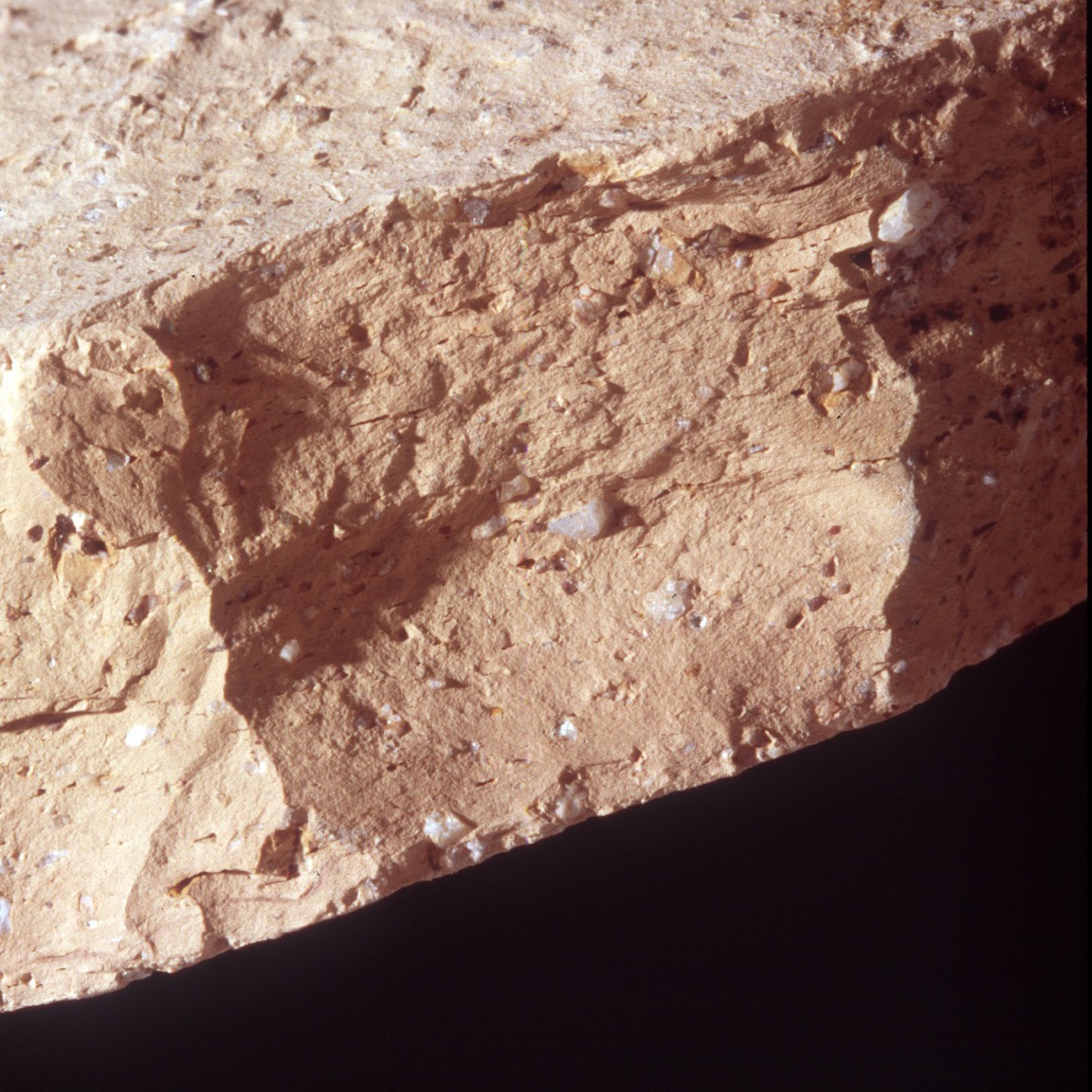 Plate 49a: Fresh sherd break of CNG OX (width of field 24 mm)