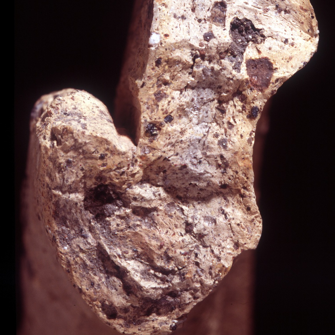Plate 51: Fresh sherd break of MAY CO (width of field 24 mm)