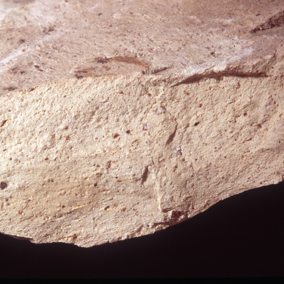 Plate 55a: Fresh sherd break of NOG WH 4 (width of field 24 mm)