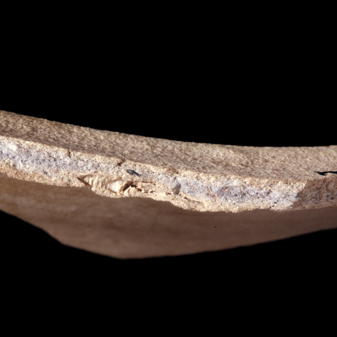 Plate 56: Fresh sherd break of NOG WH 5 (width of field 24 mm)
