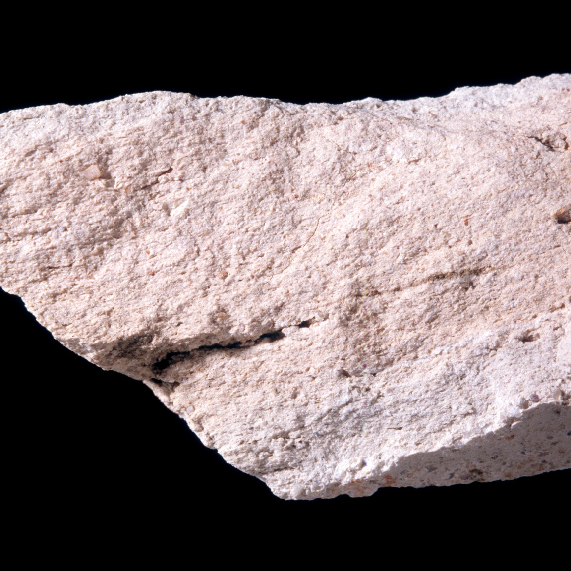 Plate 57a: Fresh sherd break of RHL WH (width of field 24 mm)