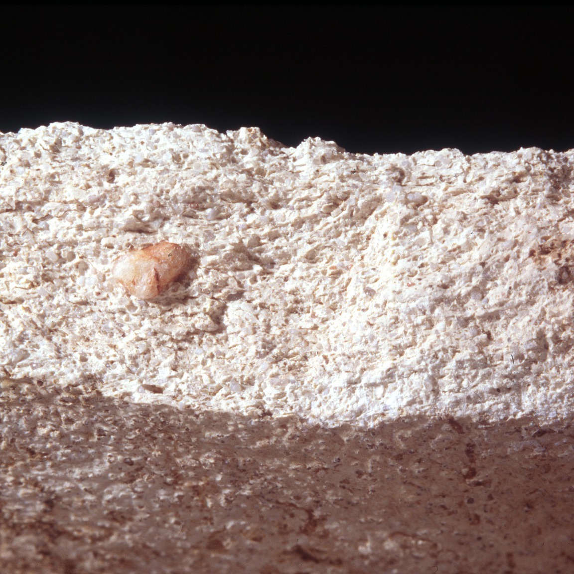 Plate 59a: Fresh sherd break of SPA WH (width of field 24 mm)