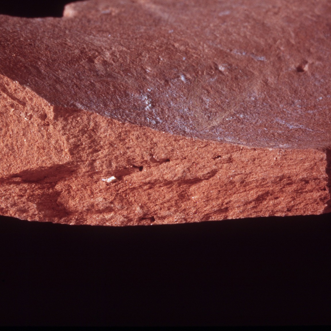 Plate 60: Fresh sherd break of ASM AM (width of field 24 mm)