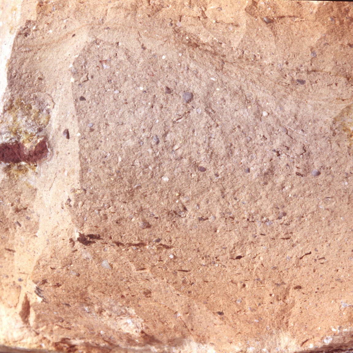 Plate 62: Fresh sherd break of BAT AM 2 (width of field 24 mm)