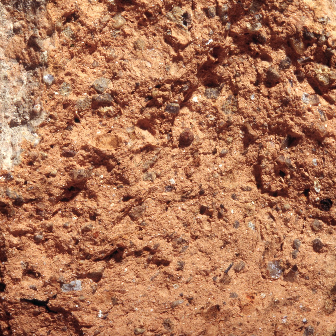 Plate 66: Fresh sherd break of CAM AM 2 (width of field 24 mm)