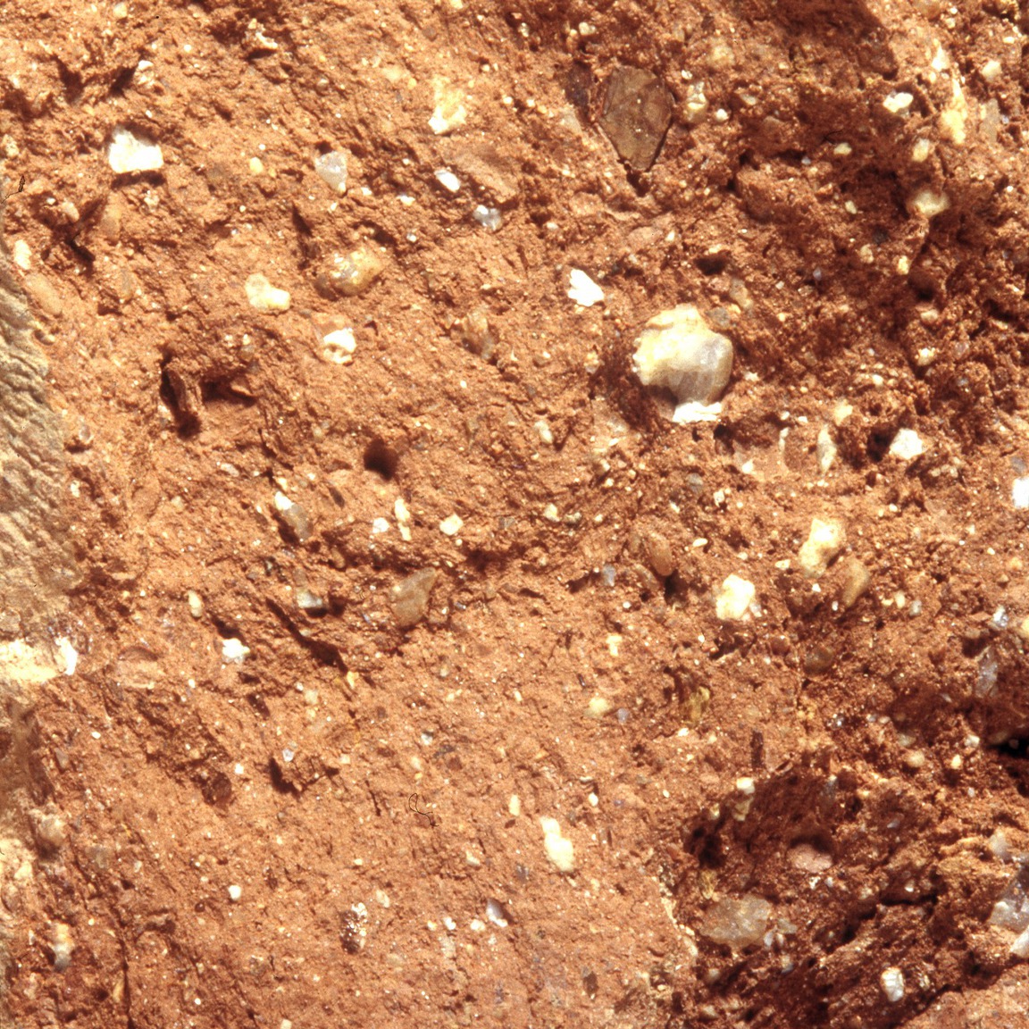 Plate 67: Fresh sherd break of CAT AM (width of field 24 mm)