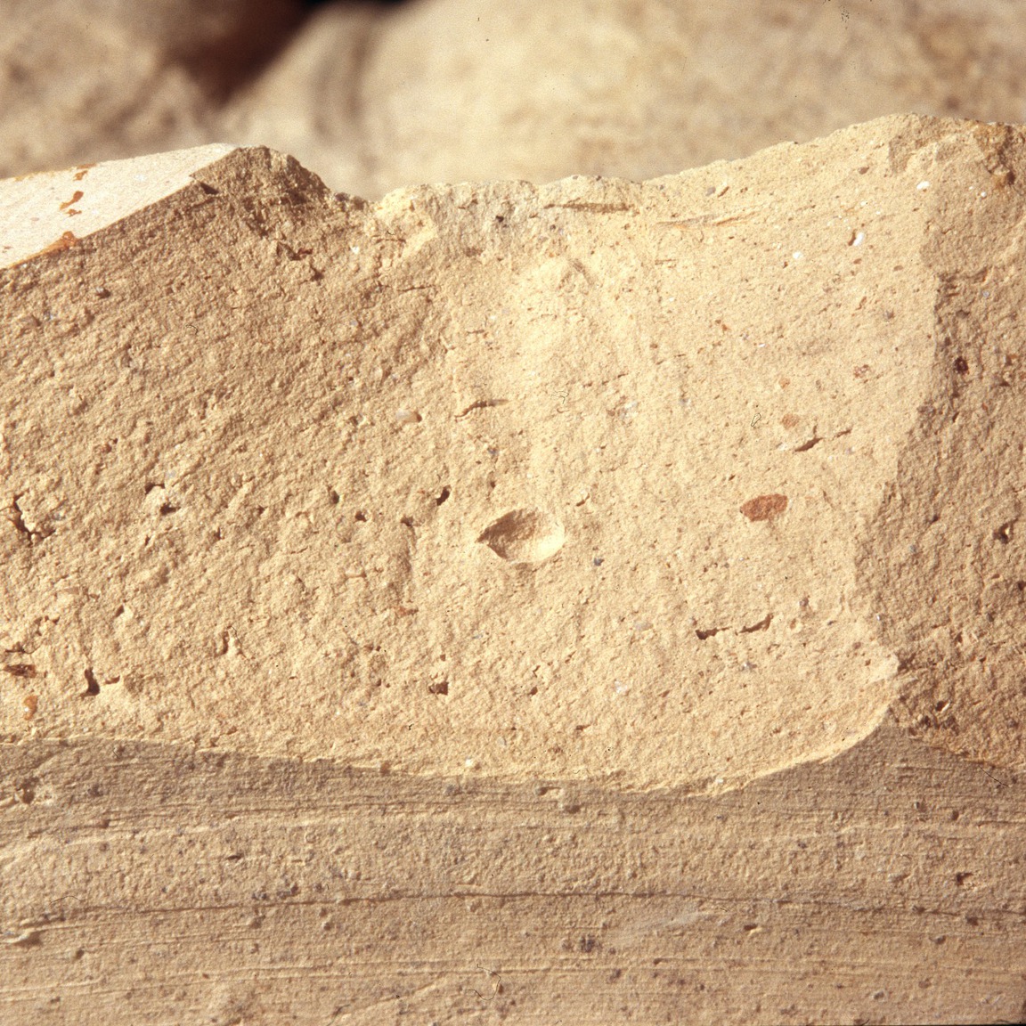 Plate 69: Fresh sherd break of GAL AM 1 (width of field 24 mm)