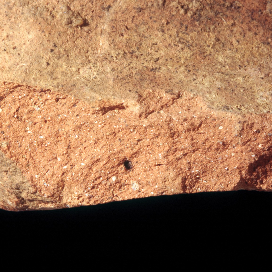 Plate 72: Fresh sherd break of ITA AM 1 (width of field 24 mm)