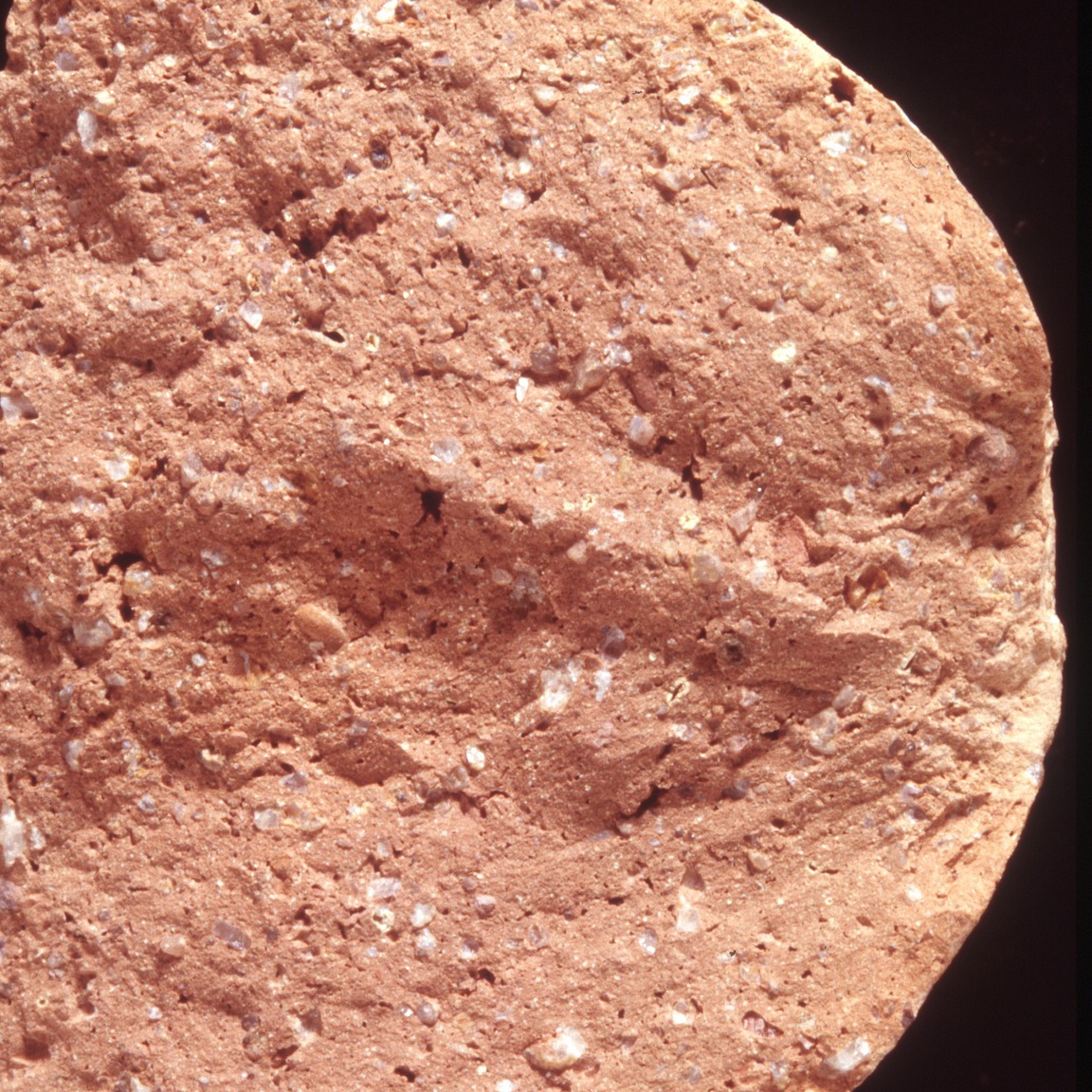 Plate 80: Fresh sherd break of P&W AM 9 (width of field 24 mm)