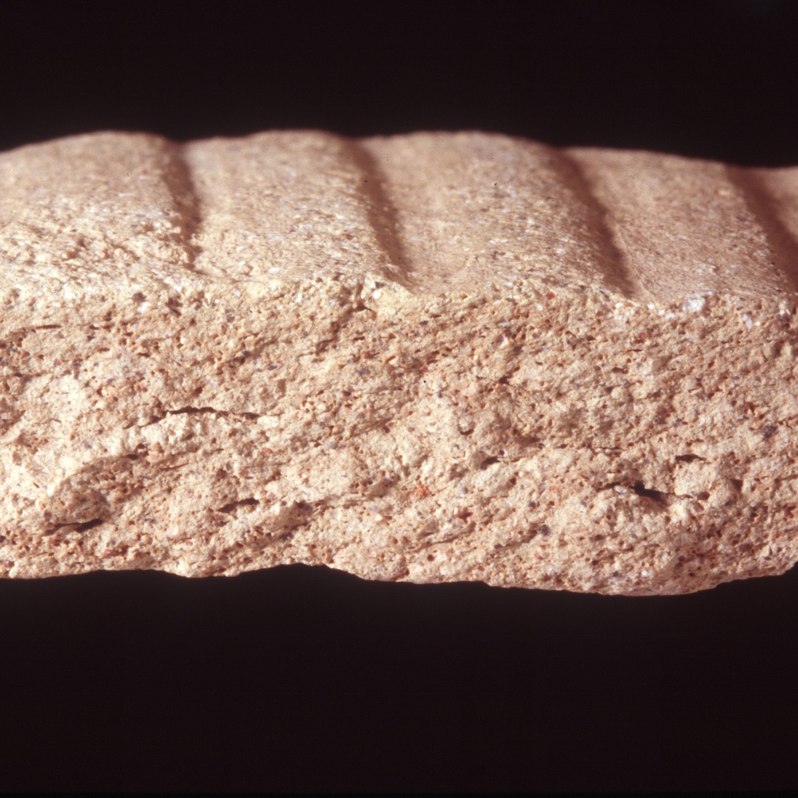 Plate 83: Fresh sherd break of P&W AM 44 (width of field 24 mm)