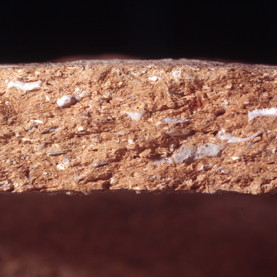 Plate 89: Fresh sherd break of HAR SH (width of field 24 mm)