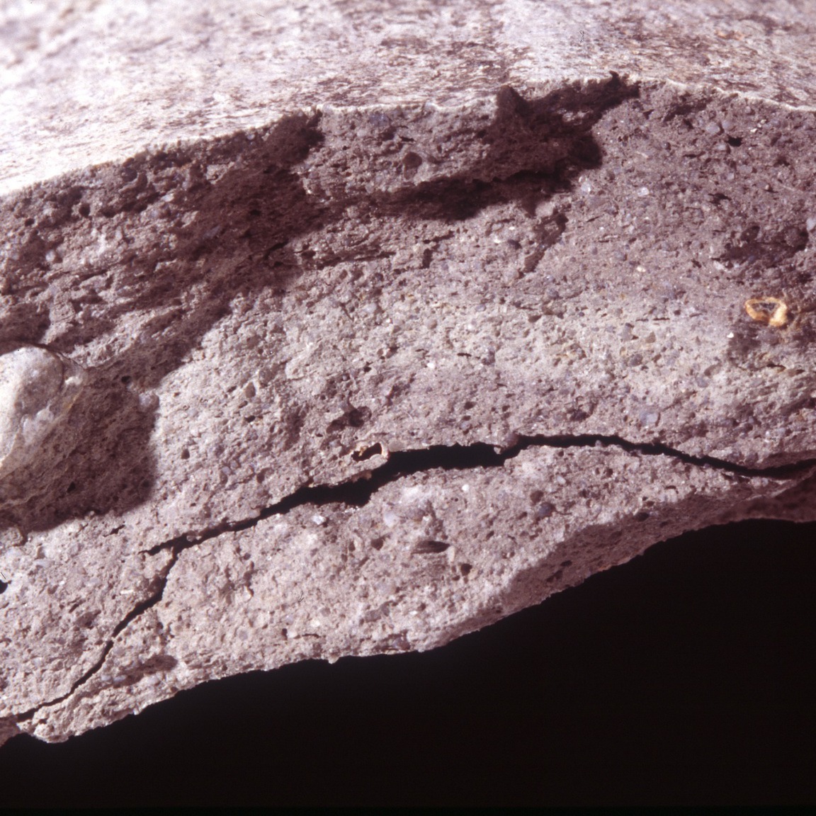 Plate 90: Fresh sherd break of HOR RE (width of field 24 mm)