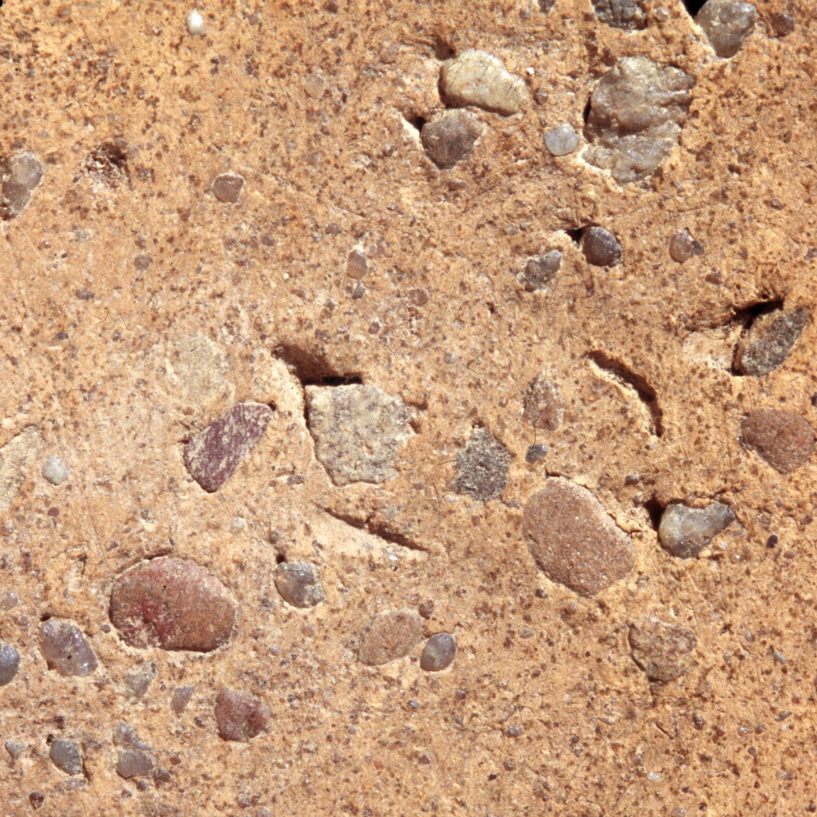 Plate 95: Trituration grits on WIL RS (width of field 24 mm)