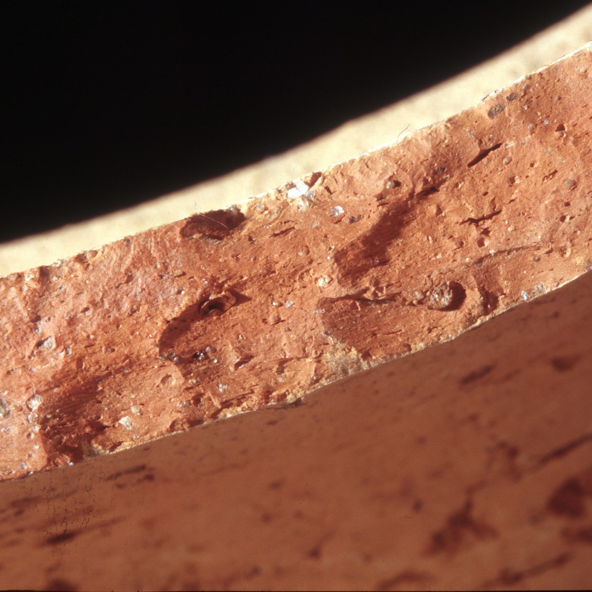 Plate 97a: Fresh sherd break of CSA WS (width of field 24 mm)