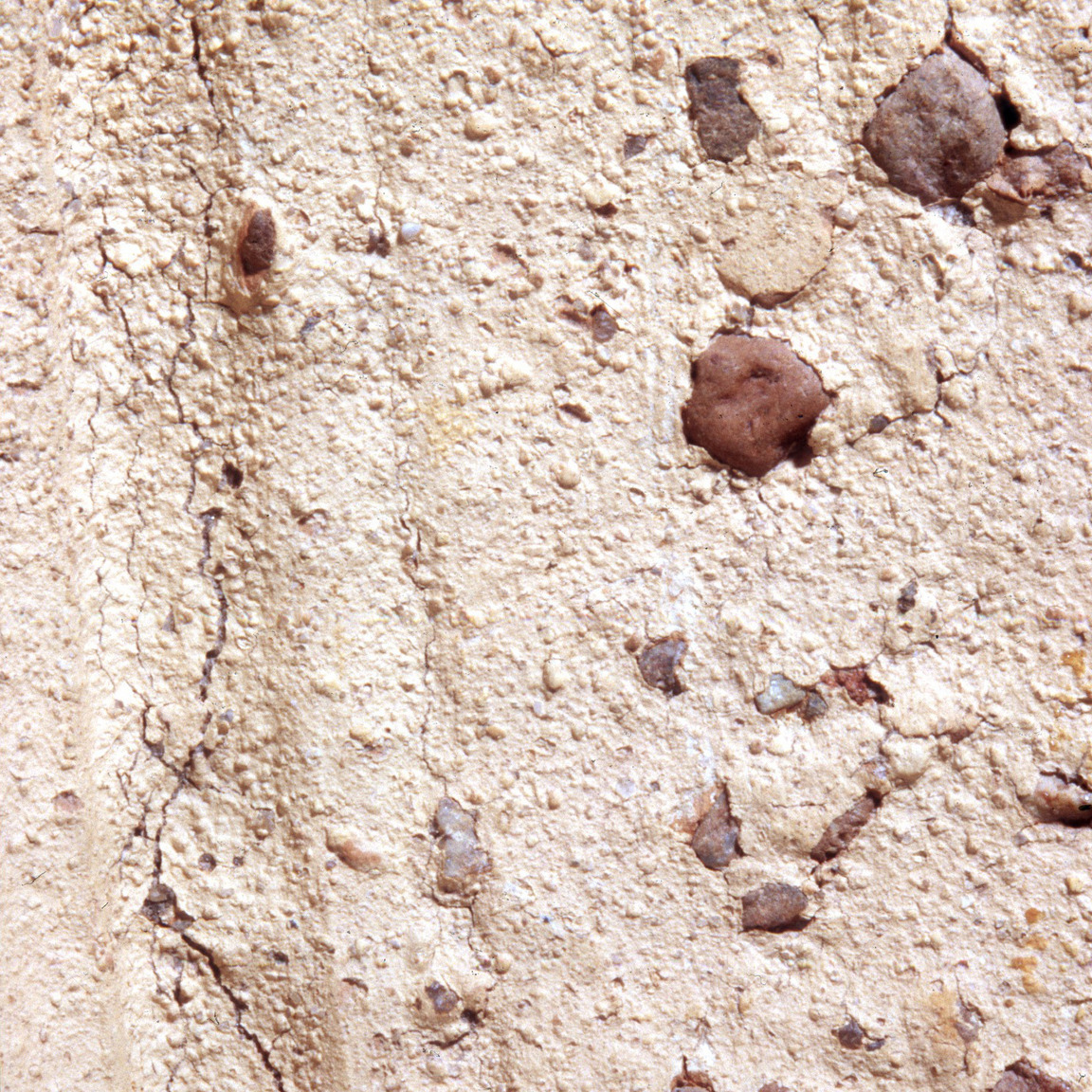 Plate 97b: Trituration grits on CSA WS (width of field 24 mm)