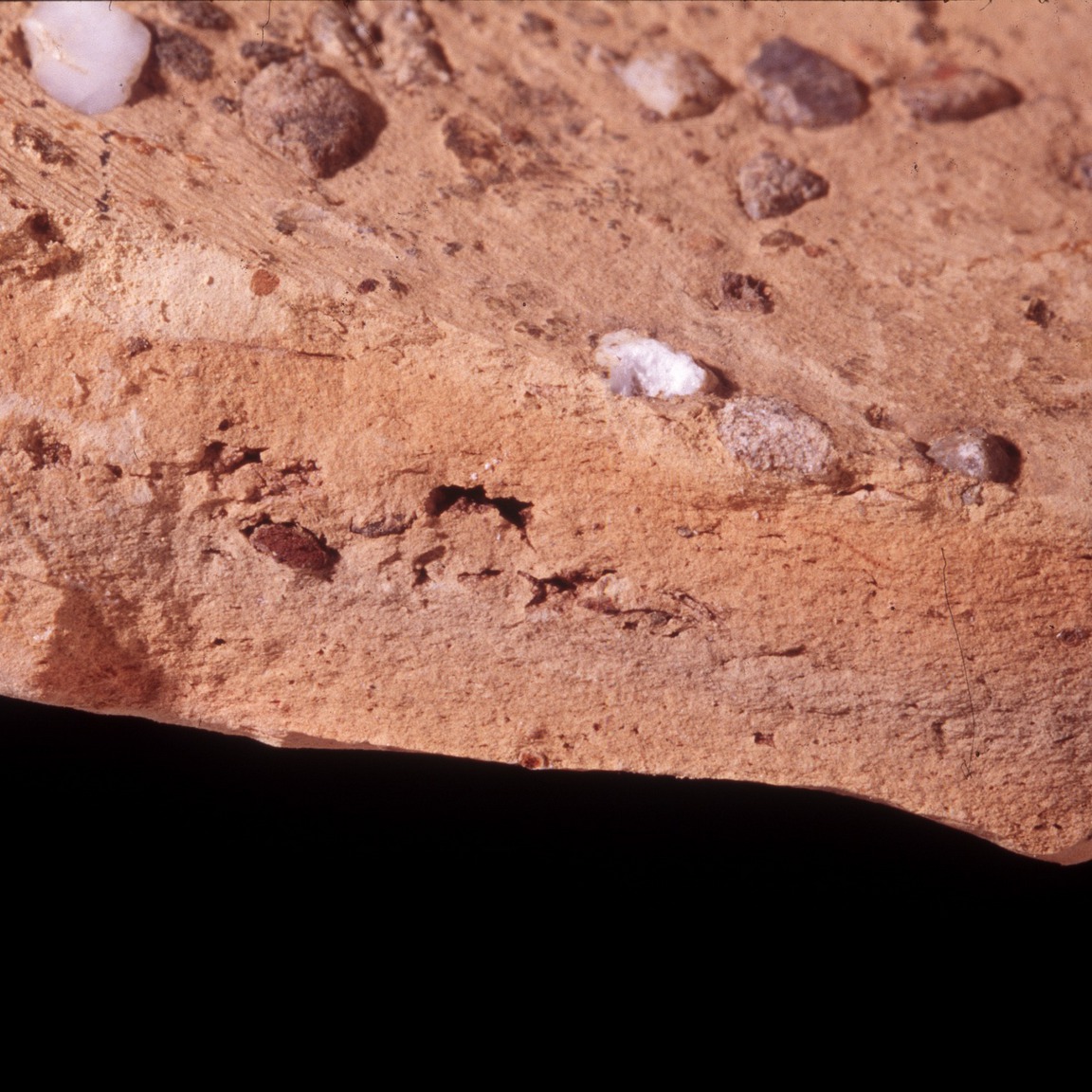 Plate 101a: Fresh sherd break of SHM RS (width of field 24 mm)