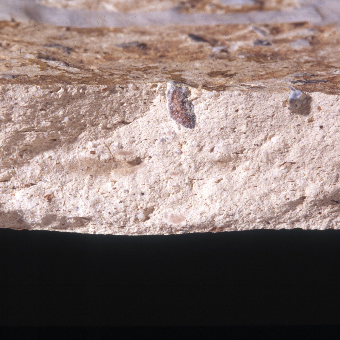 Plate 108a: Fresh sherd break of COL WH (width of field 24 mm)