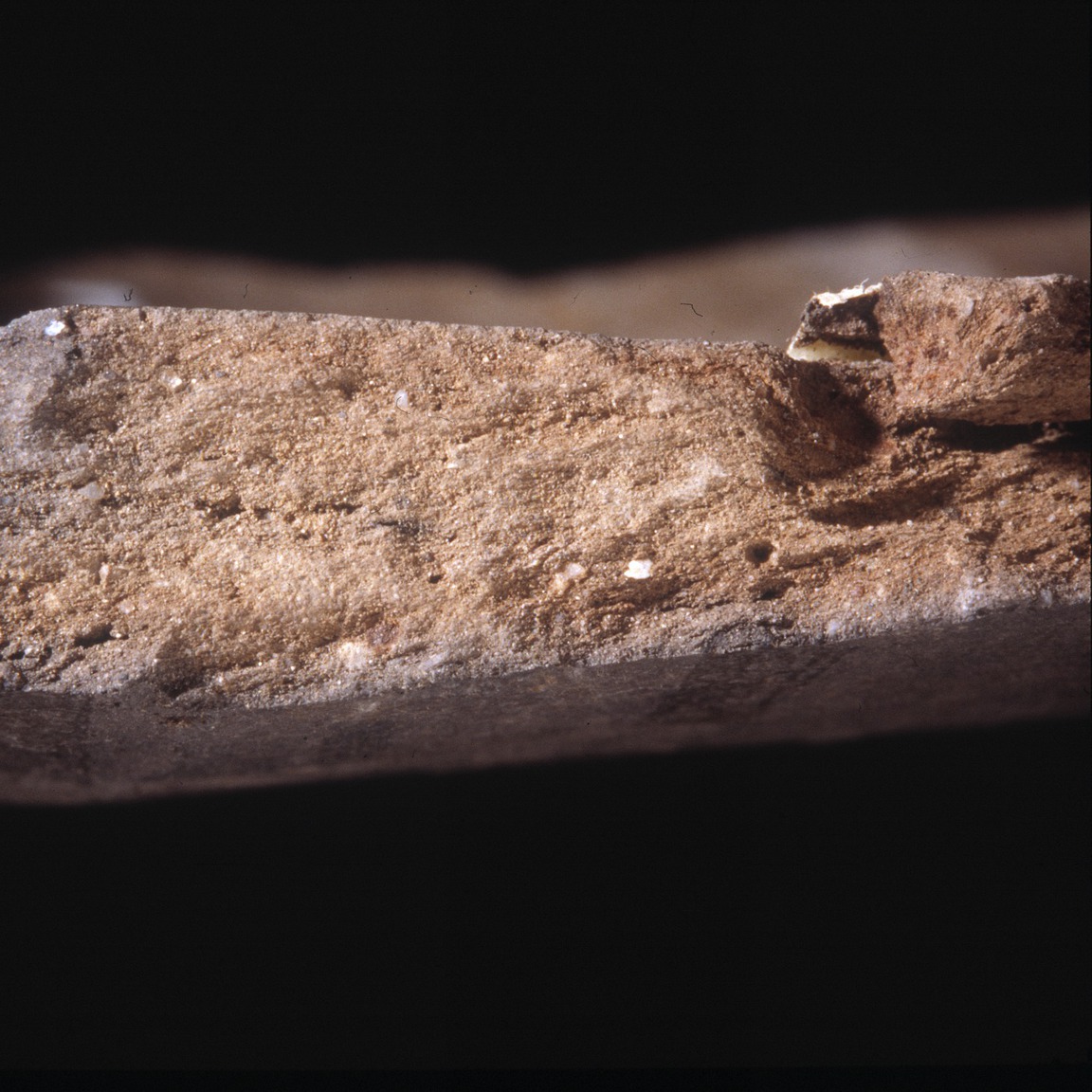 Plate 109: Fresh sherd break of MUC BB 2 (width of field 24 mm)