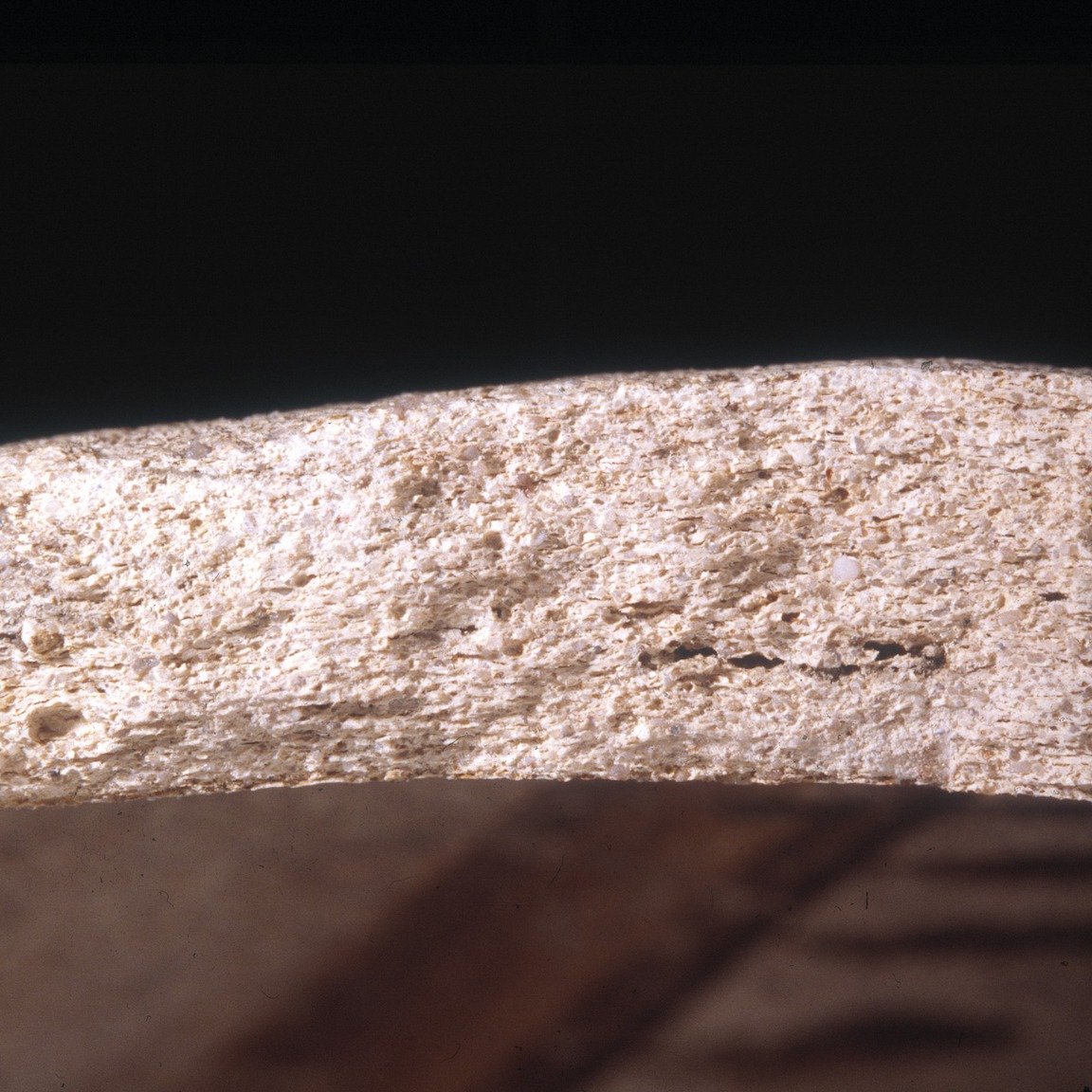 Plate 116: Fresh sherd break of NFO PA (width of field 24 mm)