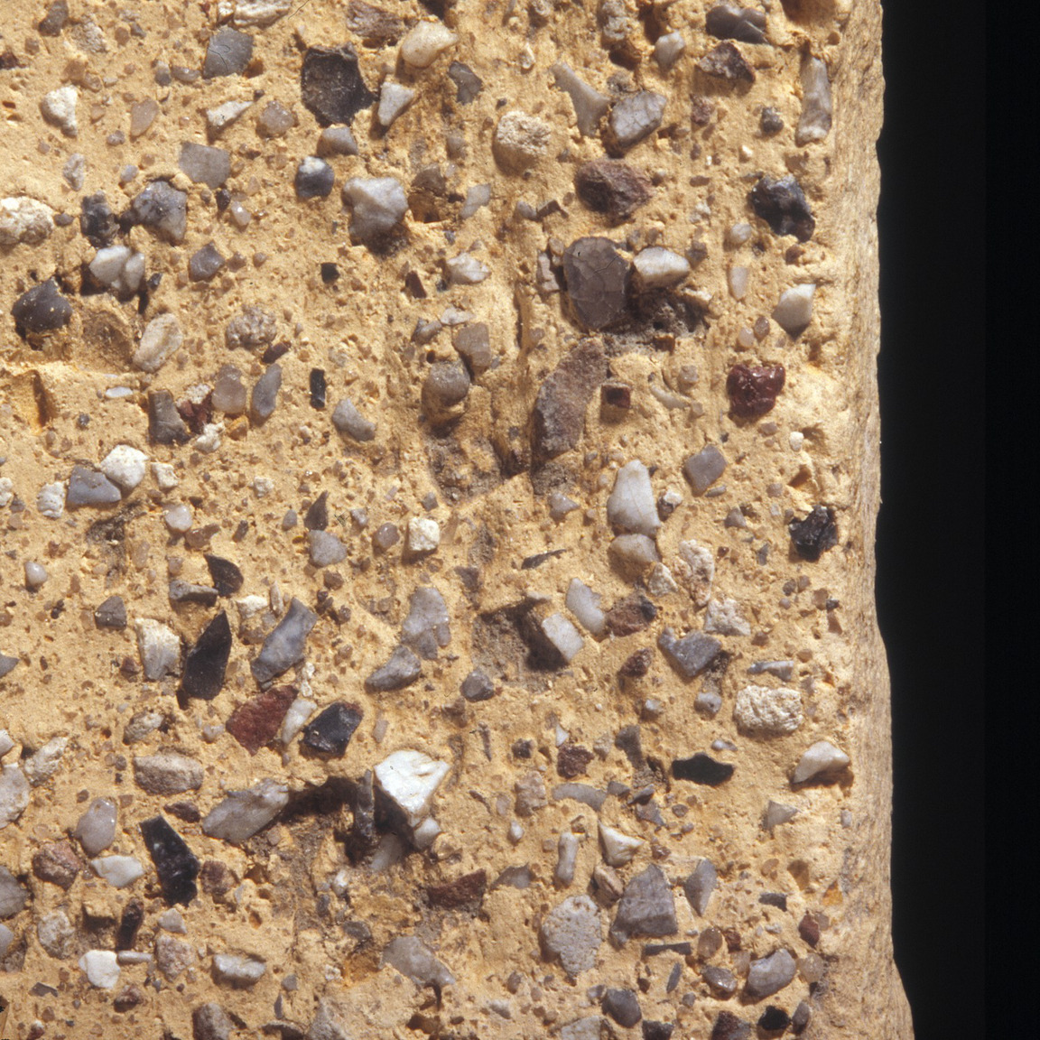 Plate 118: Trituration grits on NFO WH 2 (width of field 24 mm)
