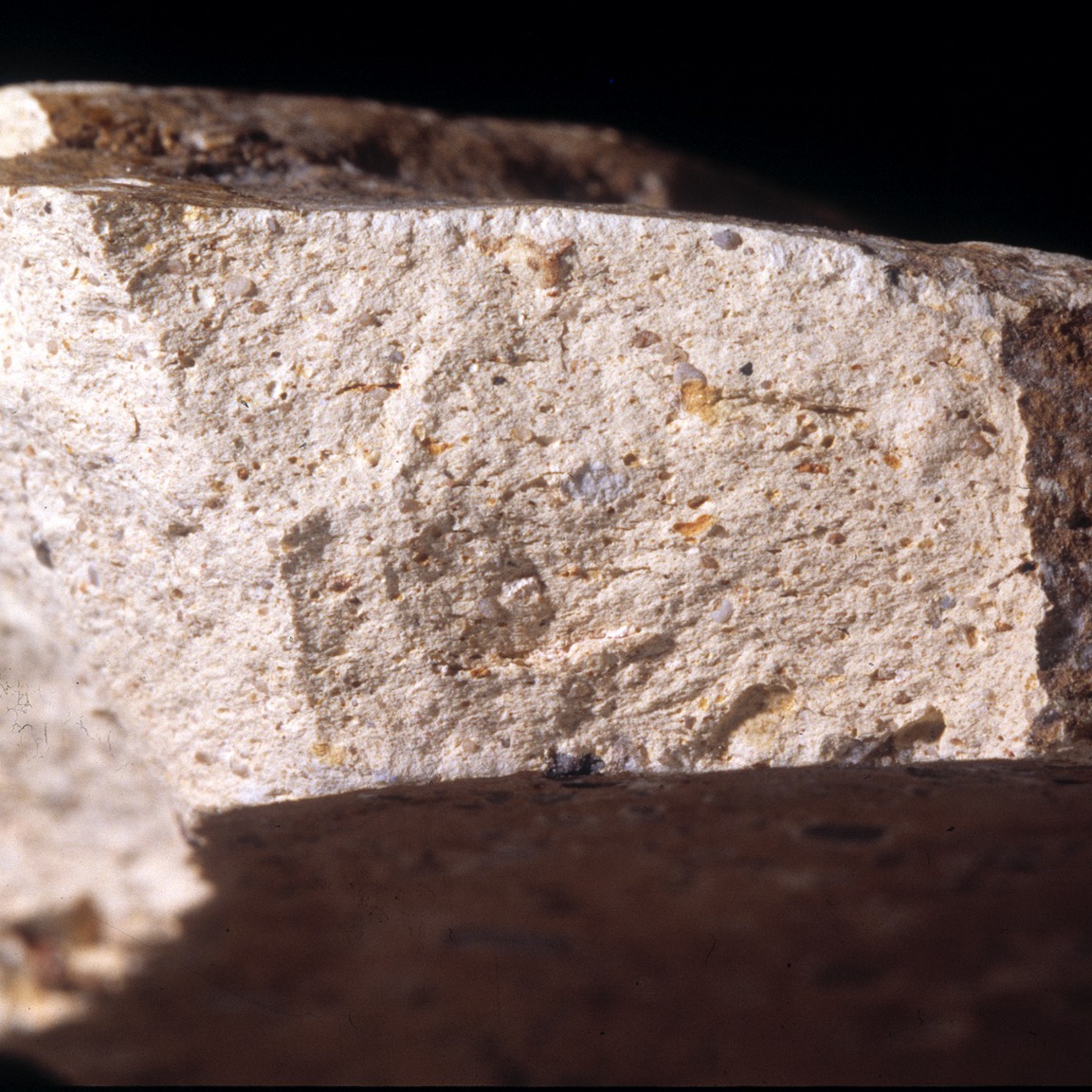Plate 133a: Fresh sherd break of SOC WH (width of field 24 mm)