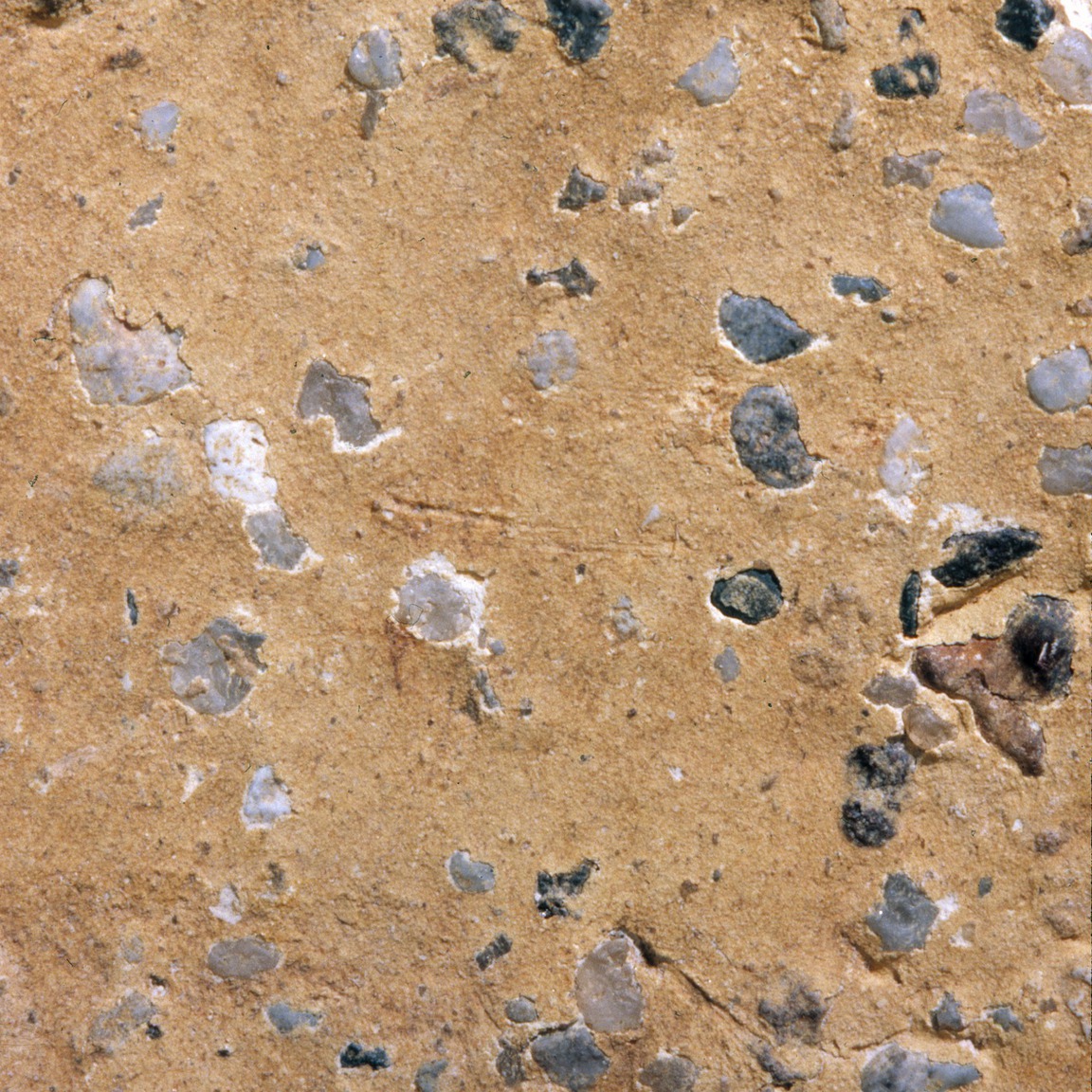 Plate 133b: Trituration grits on SOC WH (width of field 24 mm)