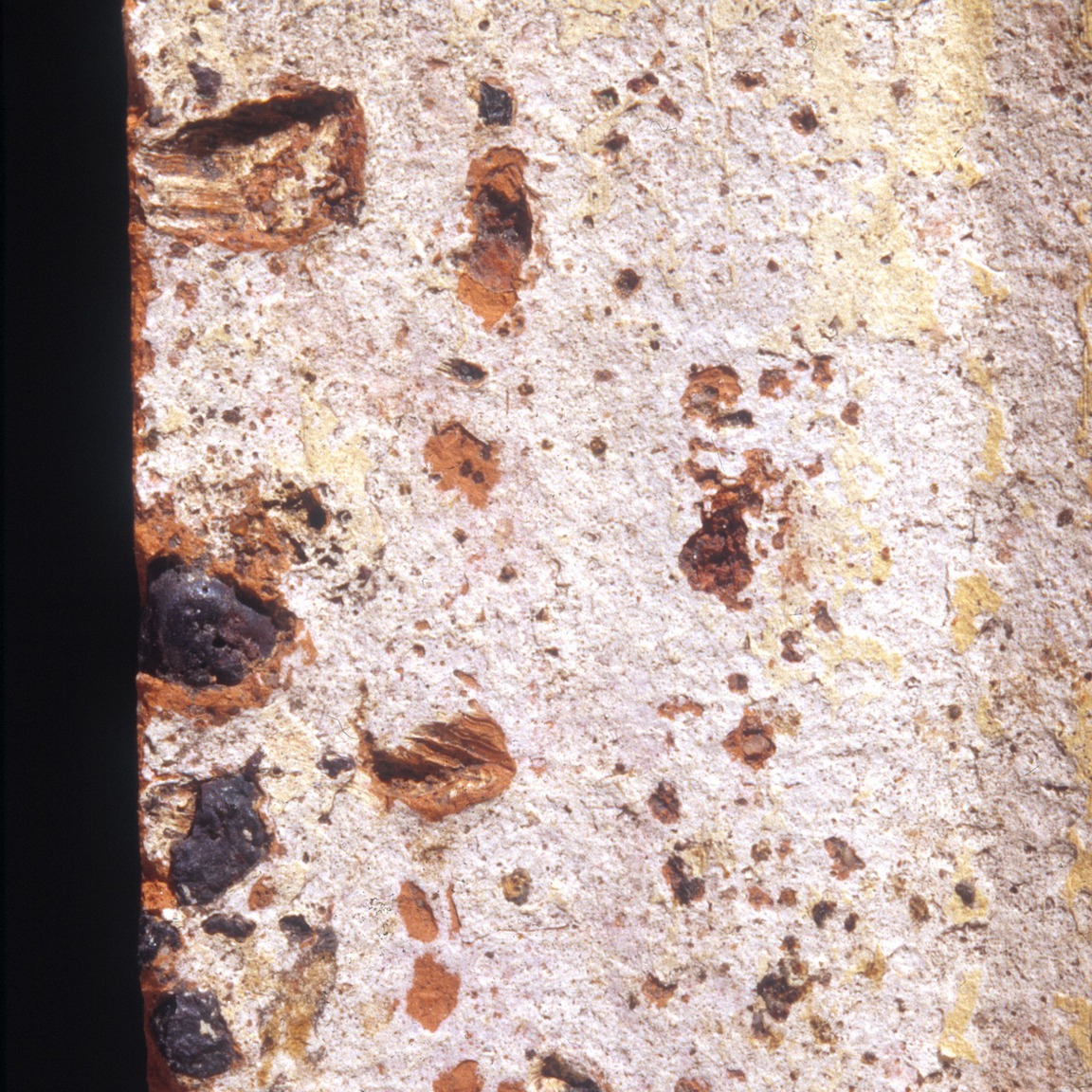 Plate 135b: Trituration grits on SWN WS (width of field 24 mm)