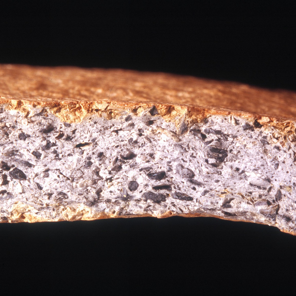 Plate 138: Fresh sherd break of PAT GT (width of field 24 mm)