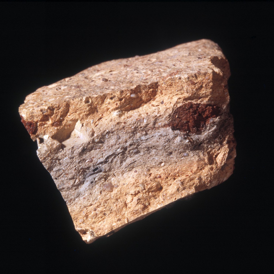 Plate 142a: Fresh sherd break of NAR OX (width of field 24 mm)
