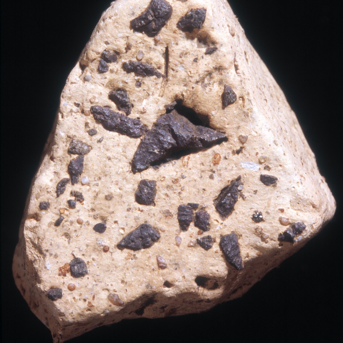 Plate 142b: Fresh sherd break of NAR OX (width of field 24 mm)