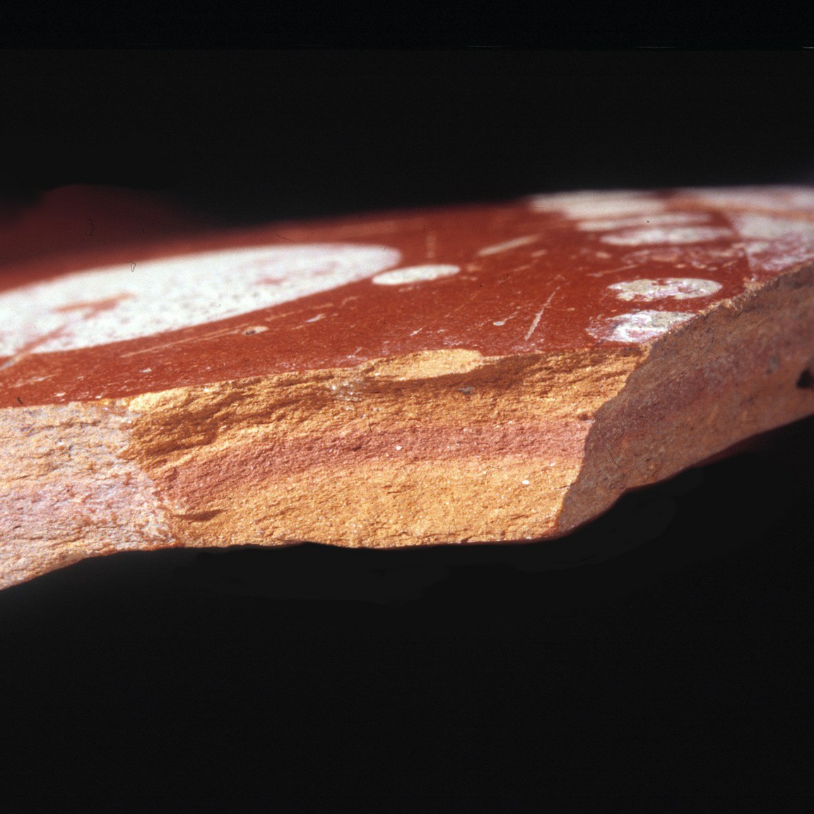 Plate 147: Fresh sherd break of OXF RS (width of field 24 mm)