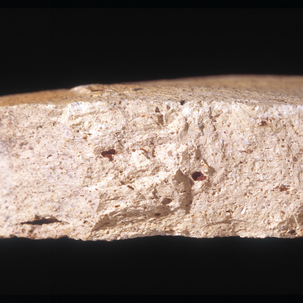 Plate 150a: Fresh sherd break of WRX WH (sandy variant) (width of field 24 mm)