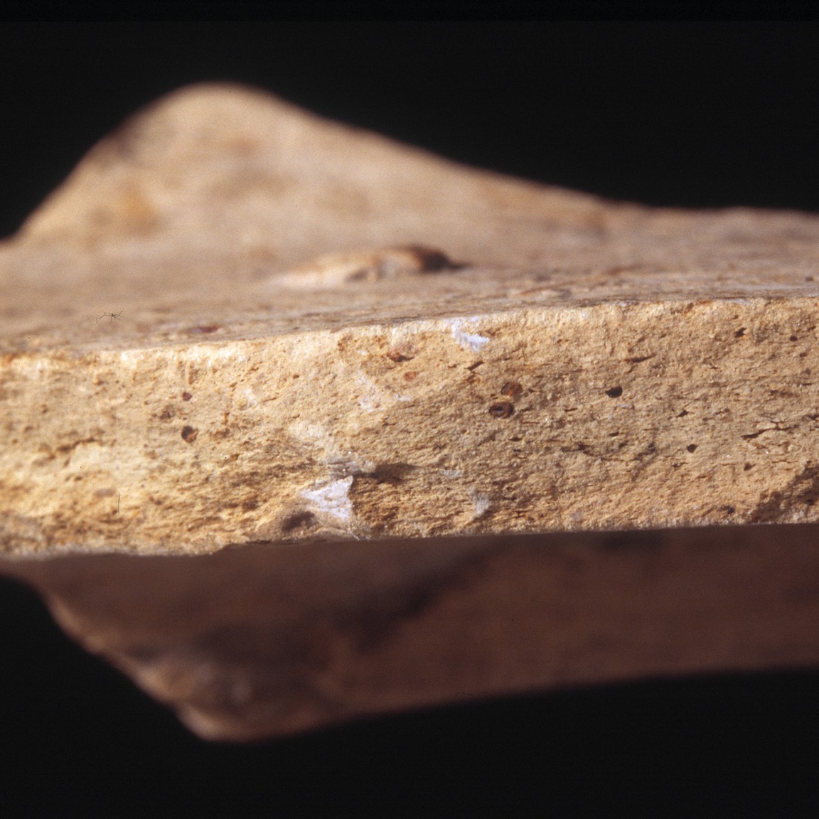 Plate 156: Fresh sherd break of WIG WH (width of field 24 mm)