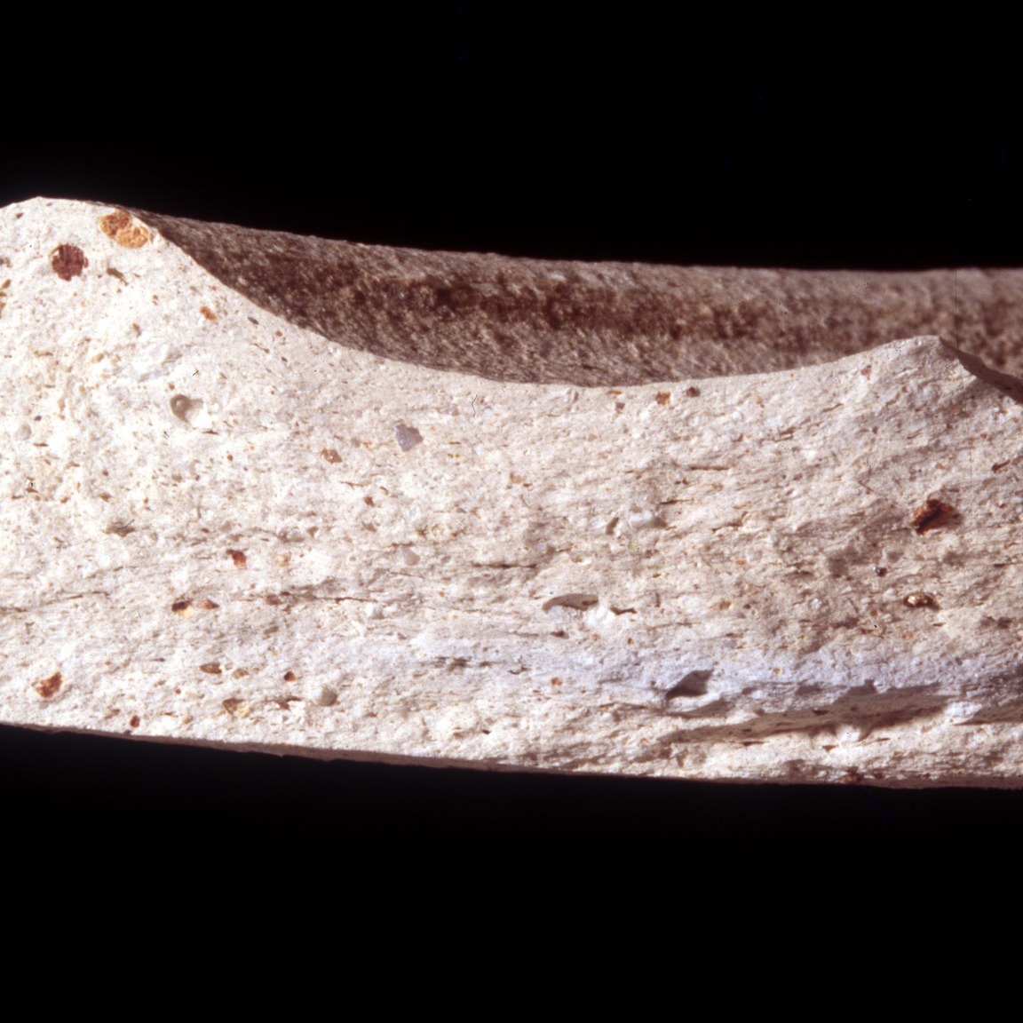 Plate 161a: Fresh sherd break of ALD WH (width of field 24 mm)