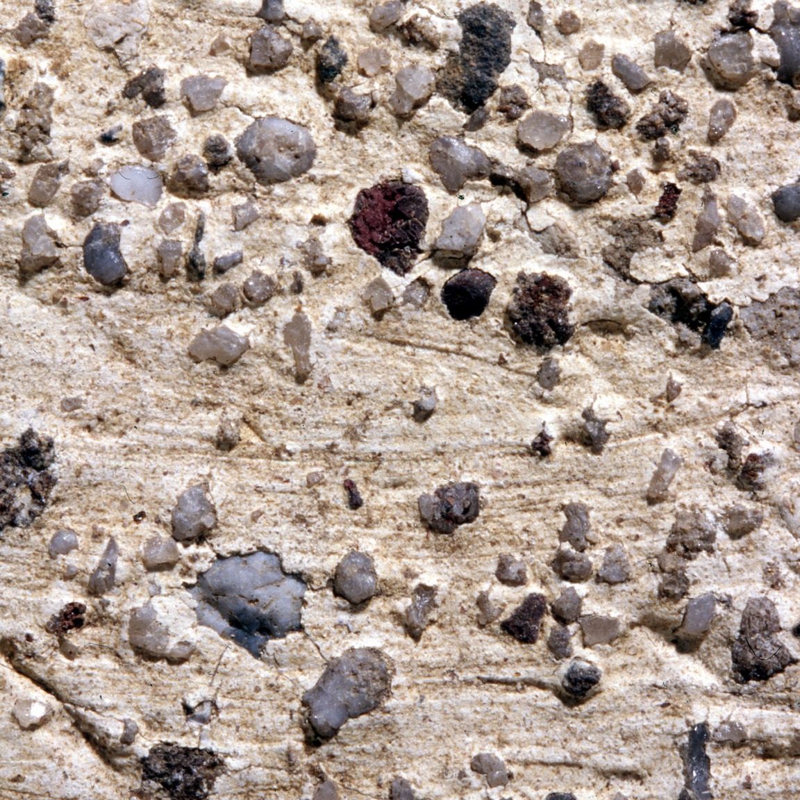 Plate 161b: Trituration grits on ALD WH (width of field 24 mm)