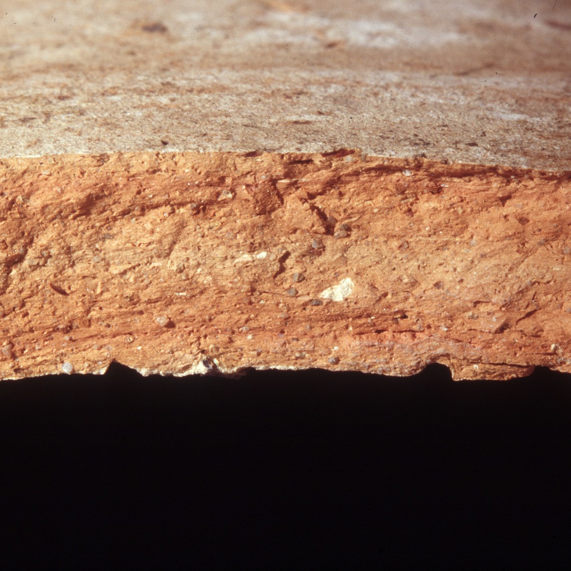 Plate 163a: Fresh sherd break of CTR WS (width of field 24 mm)
