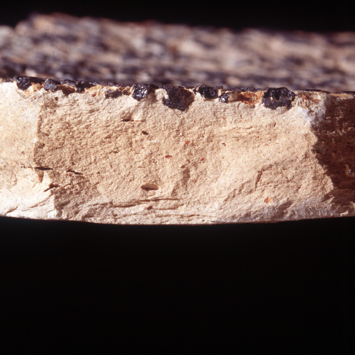 Plate 164a: Fresh sherd break of CRA PA (width of field 24 mm)