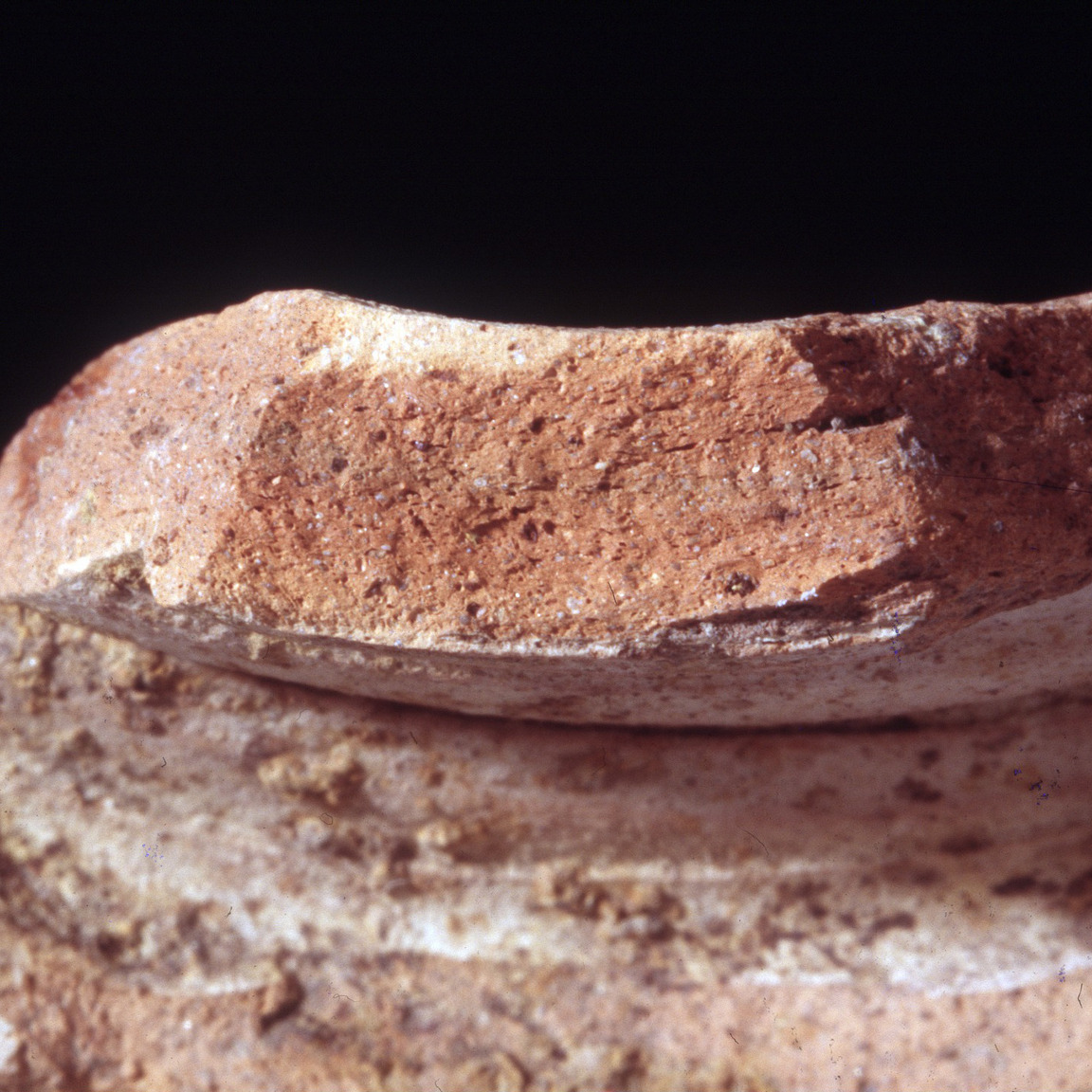 Plate 166: Fresh sherd break of EBO WS (width of field 24 mm)