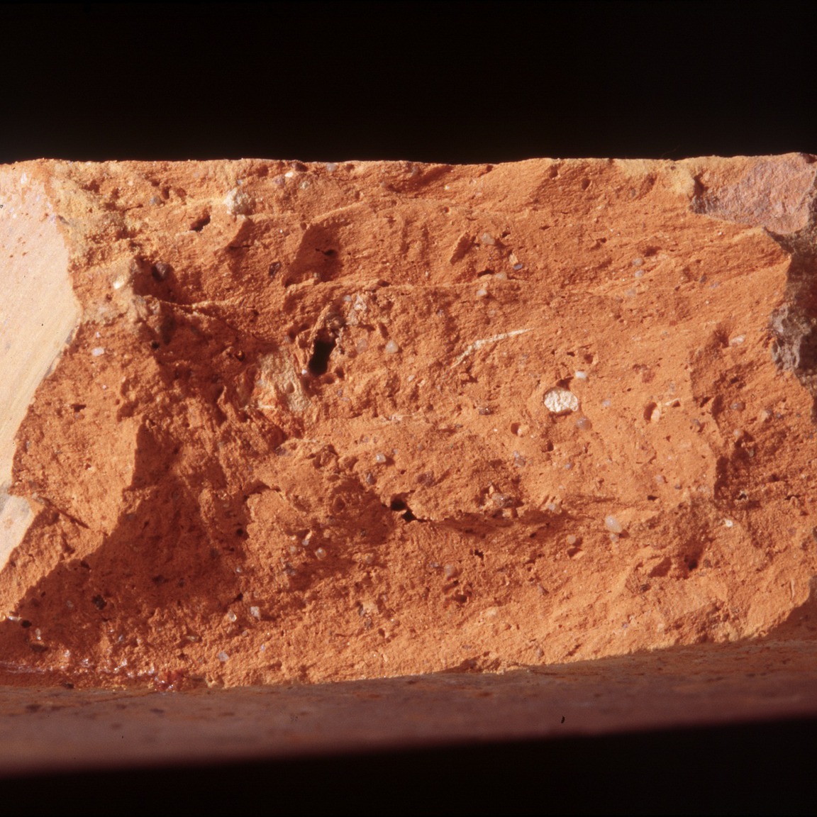 Plate 172a: Fresh sherd break of HOL OX (width of field 24 mm)