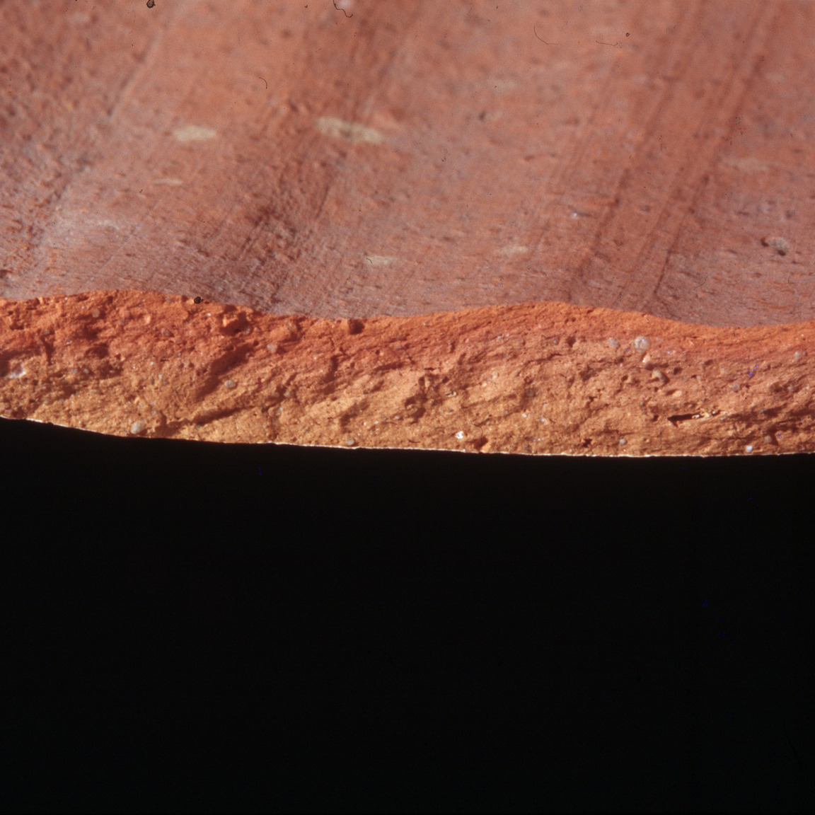 Plate 173: Fresh sherd break of HOL WS (width of field 24 mm)