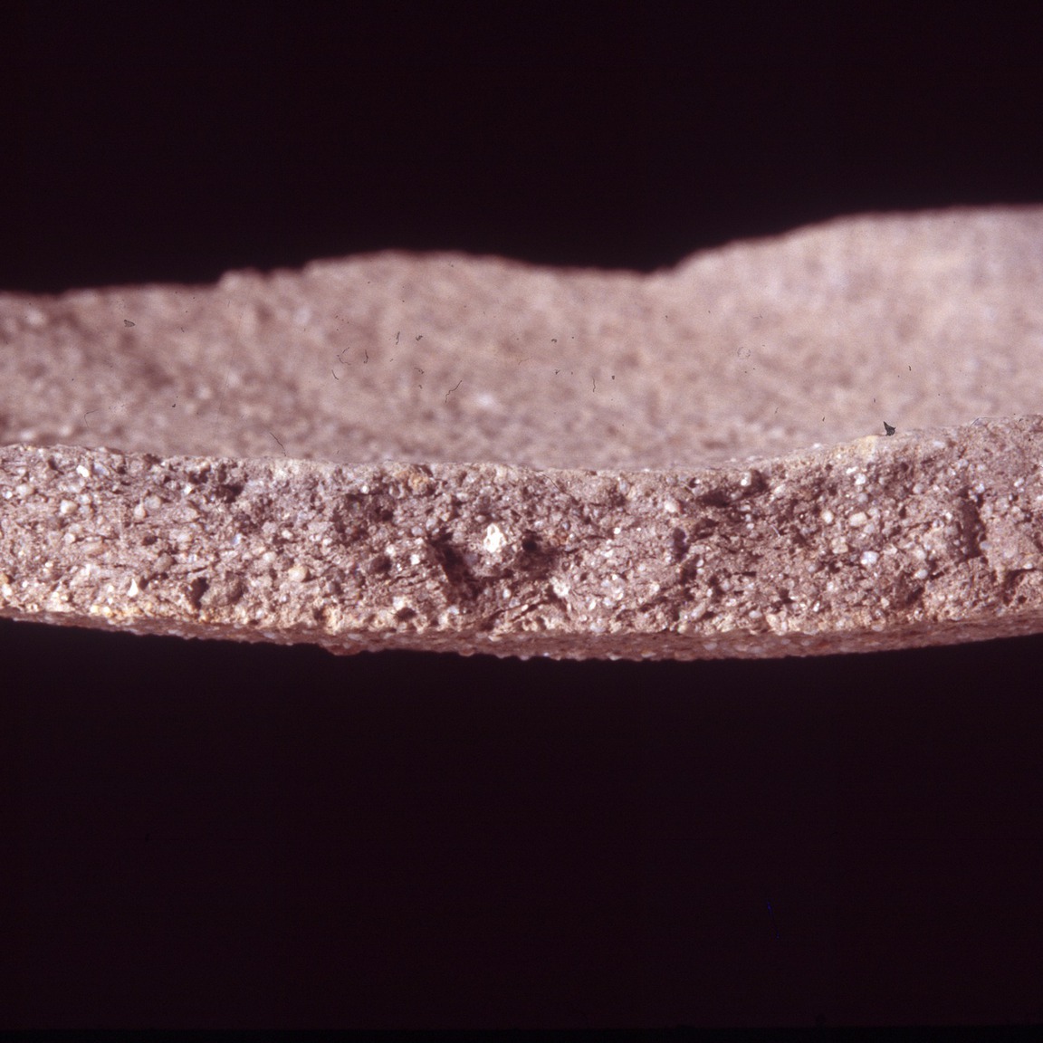 Plate 174: Fresh sherd break of SWA RE (width of field 24 mm)