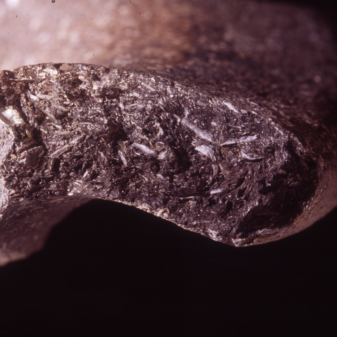 Plate 177: Fresh sherd break of ROB SH (width of field 24 mm)