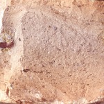 Plate 62: Fresh sherd break of BAT AM 2 (width of field 24 mm). Click to see a larger version